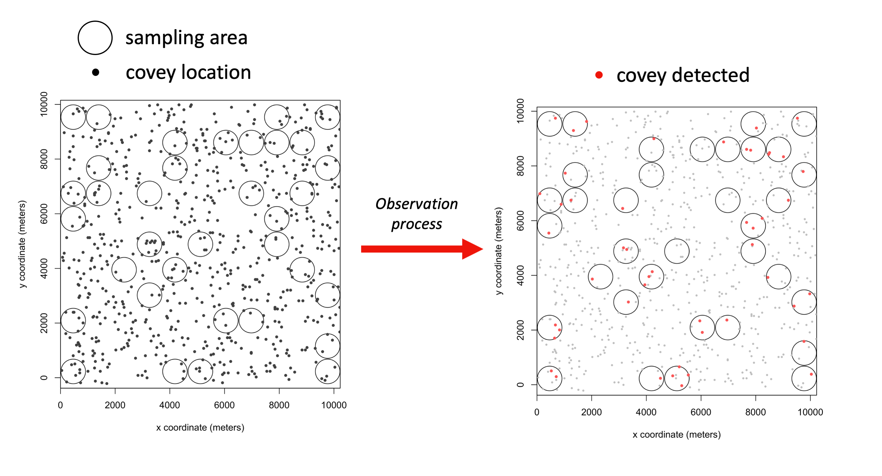 An example of a 0.25 bird/acre bobwhite population in a fictitious 25,000 acre area. The number of coveys detected in any one sampling visit depends on sampling effort, detection probability, and calling rate. In this example, about 29% of the area is being sampled. In one visit, 49 out of the 138 coveys present in sampling points were detected.