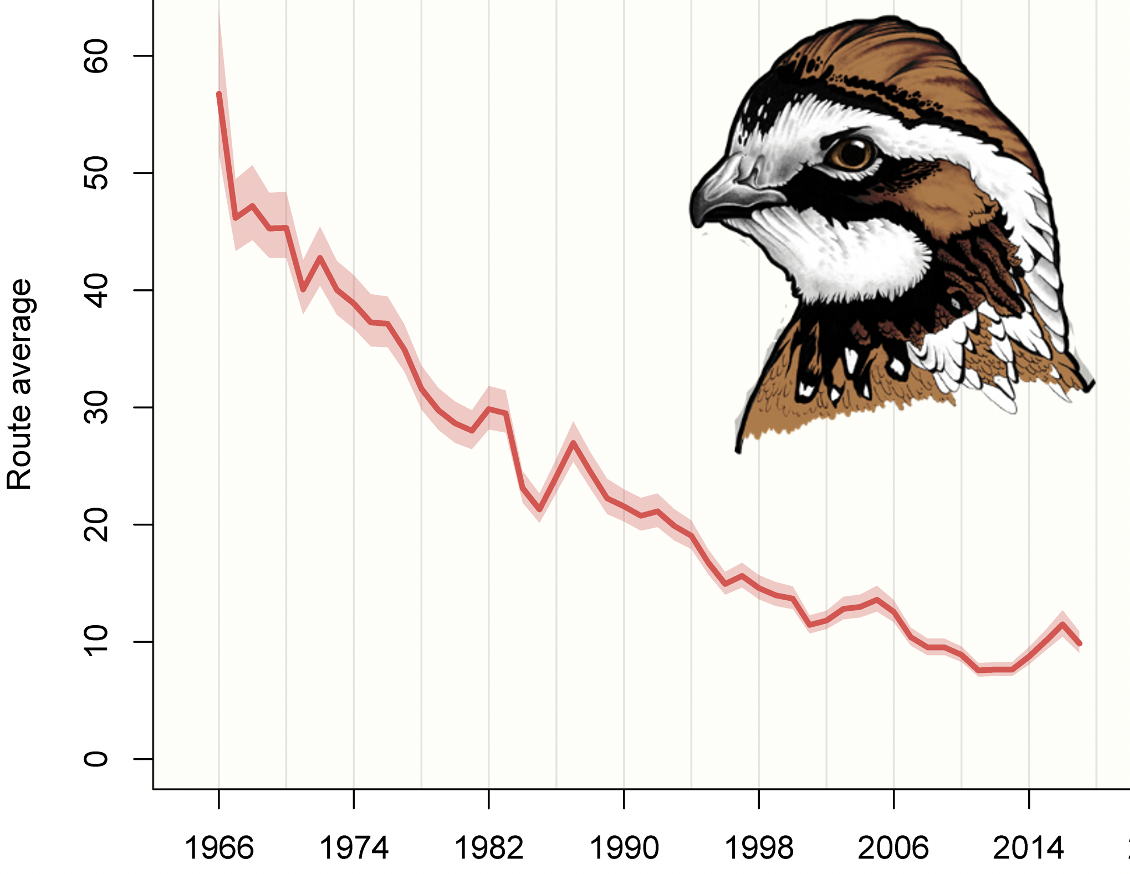 The range wide decline in northern bobwhite according to Breeding Bird Surveys. Data from: https://www.pwrc.usgs.gov/bbs/